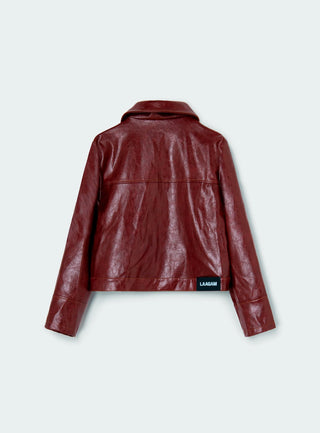 Laagam Alexa Burgundy Jacket - Anavi