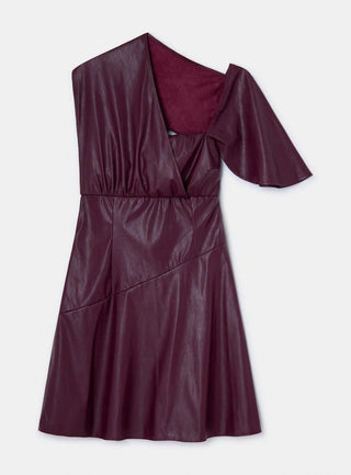 Laagam Ruby Burgundy Dress - Anavi