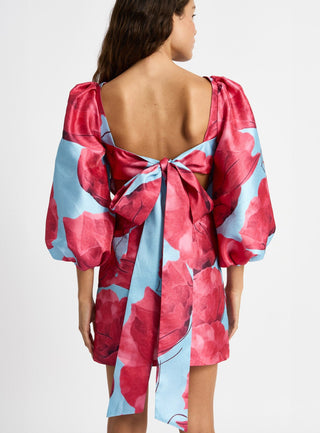 Laagam Liza Fleur Poppy Dress - Anavi